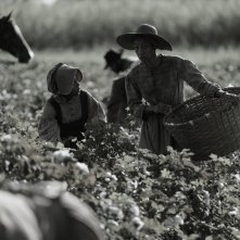 Emancipation - Oltre la libertà: una scena del film