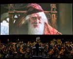 Harry Potter e il Calice di Fuoco: il concerto dal vivo arriva a dicembre a Roma