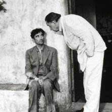 Il mio amico Massimo: un'immagine