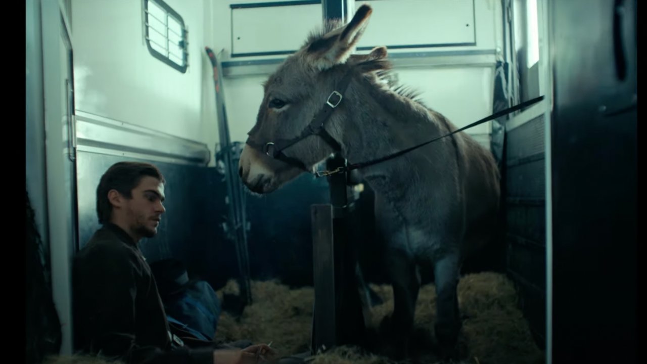 EO: una clip esclusiva del film di Jerzy Skolimowski introduce il protagonista