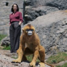 His Dark Materials: Ruth Wilson in un'immagine della serie