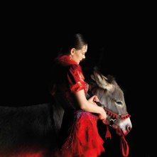 Eo: un'inquadratura del film