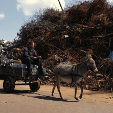Eo: un frame del film