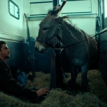 Eo: una foto del film