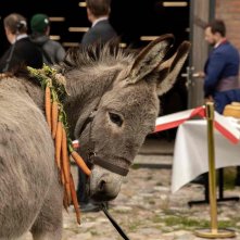 Eo: un momento del film