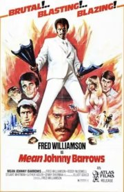 Locandina di Il cobra nero