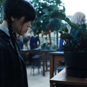 Mercoledì: un momento della serie