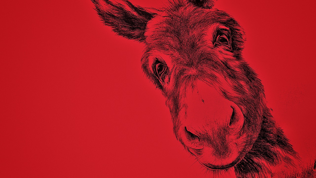 EO, la recensione: non si sevizia un asinello