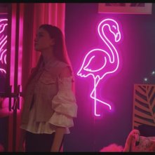 Charlotte M. - Il Film Flamingo Party: un'immagine