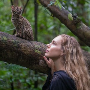 Wildcat: una foto del documentario