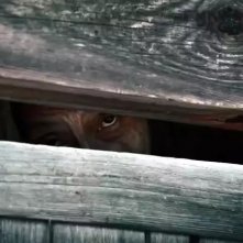 Gannibal: un'inquietante scena della serie