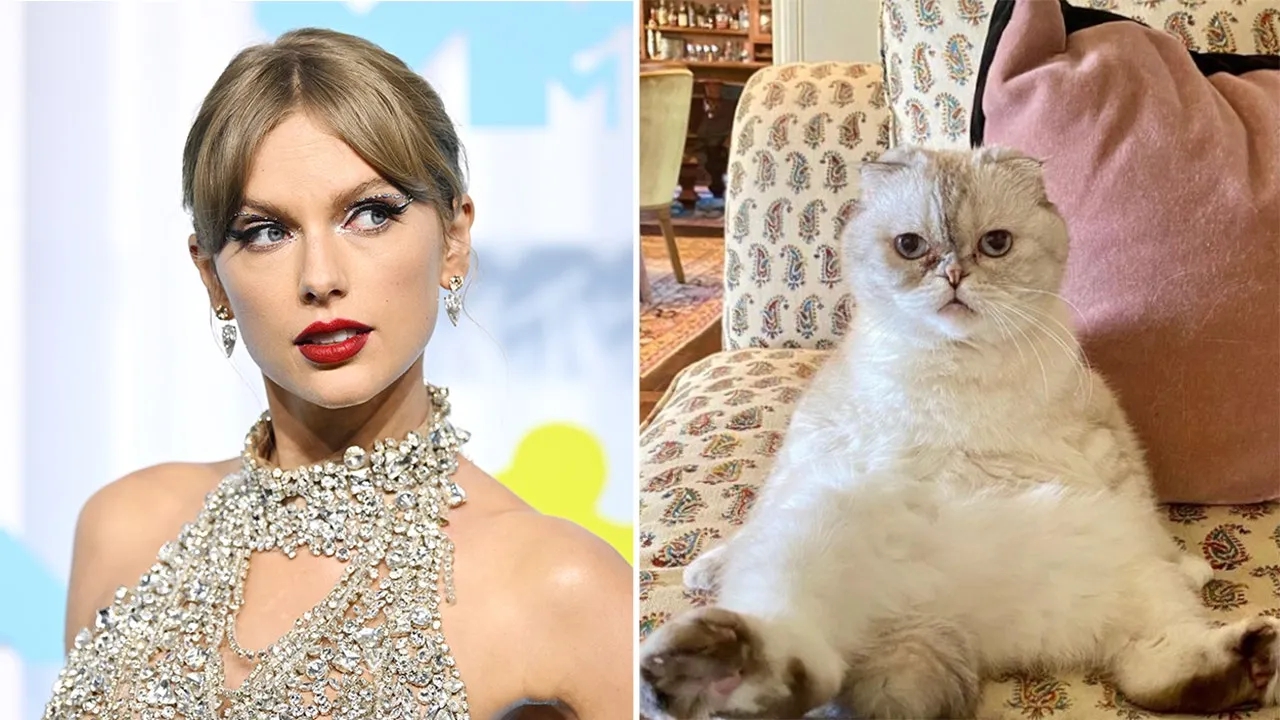 Taylor Swift e la sua gatta multimilionaria: perfino Olivia Benson è più ricca di noi