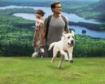 Dog Gone - Lo straordinario viaggio di Gonker, su Netflix in streaming da oggi