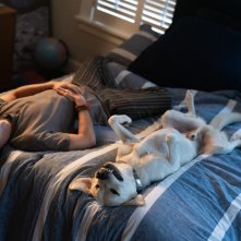 Dog Gone - Lo straordinario viaggio di Gonker, Johnny Berchtold in un momento del film