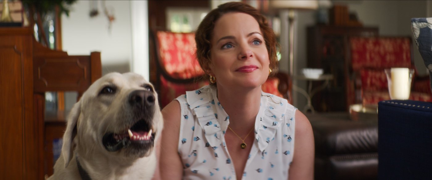 Dog Gone Lo straordinario viaggio di Gonker, la recensione una storia semplice e sincera, ma Dog Gone Lo straordinario viaggio di Gonker, la recensione una storia semplice e sincera, ma