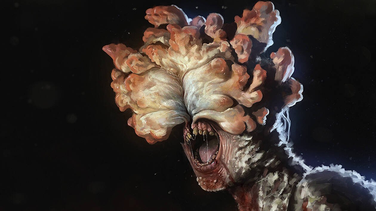 The Last of Us: il fungo infettivo della serie esiste davvero, Craig Mazin rivela le sue ricerche