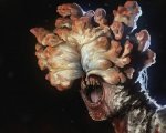 The Last of Us: il fungo infettivo della serie esiste davvero, Craig Mazin rivela le sue ricerche