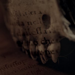 Dante la Commedia Divina: una sequenza del film