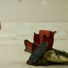 The Pool: una sequenza del film