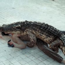 The Pool: una foto del film