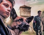 Zack cane eroe, la recensione: l'amicizia tra un bambino e un cane nel dramma della guerra