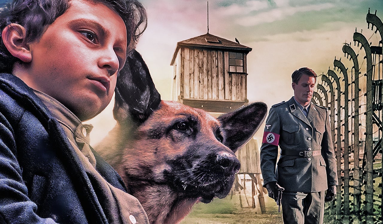 Zack cane eroe, la recensione: l'amicizia tra un bambino e un cane nel dramma della guerra
