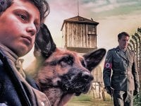 Zack cane eroe, la recensione: l'amicizia tra un bambino e un cane nel dramma della guerra