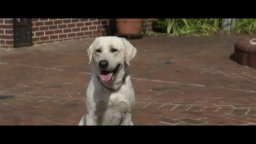 Dog Gone - Lo Straordinario Viaggio Di Gonker - Trailer