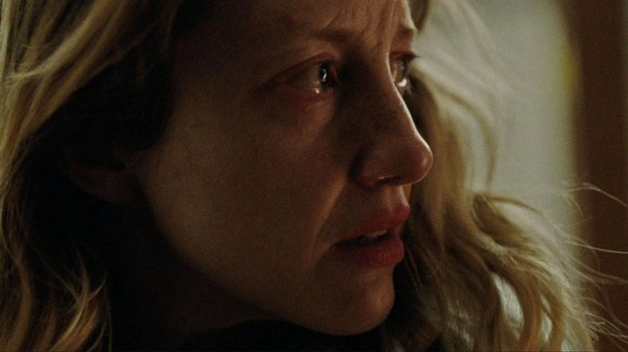 Oscar 2023 rivede le regole della campagna dopo la nomination di Andrea Riseborough, Christina Ricci "Elitari"
