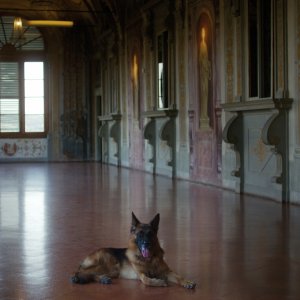 I milioni di Gunther: una foto della docu-serie Netflix