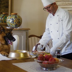 I milioni di Gunther: il cane protagonista a tavola nella docu-serie Netflix