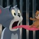 Tom & Jerry: Cartoonito celebra il compleanno dell'amato duo con una programmazione speciale