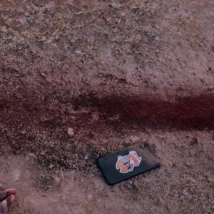 Gannibal: un'immagine della serie