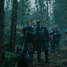 Lupo Vichingo: un'immagine