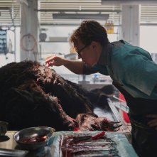 Lupo Vichingo: una foto