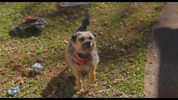 Doggy Style - Trailer Italiano