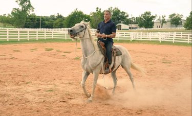 Tulsa King Sylvester Stallone Cavallo