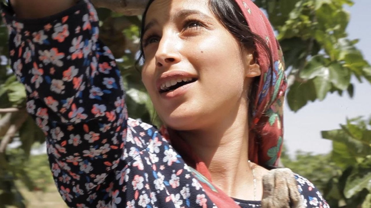 Festival del Cinema Africano, d’Asia e America Latina 2023: Il frutto della tarda estate è il film d'apertura