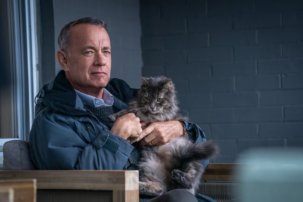 Tom Hanks in una scena di Non così vicino