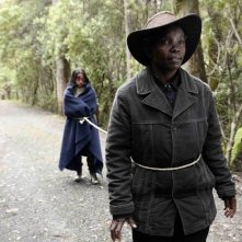 The Survival of Kindness: un'immagine del film