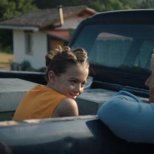 20.000 specie di api: una foto del film