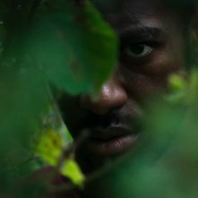 The Strays: una sequenza del film