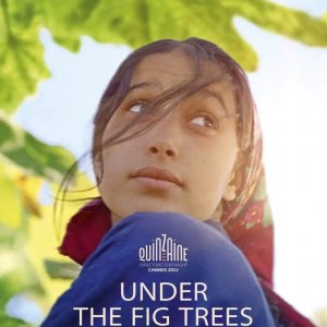 Locandina di Il frutto della tarda estate