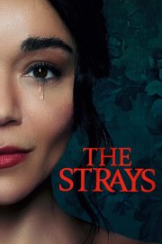 Locandina di The Strays