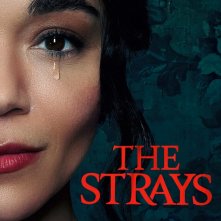 Locandina di The Strays