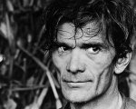 Pier Paolo Pasolini, chiesta la riapertura indagini sull'omicidio: 'Verificare 3 Dna degli assassini'