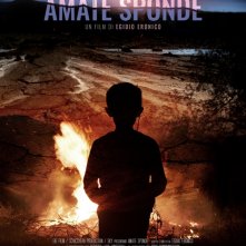 Locandina di Amate sponde