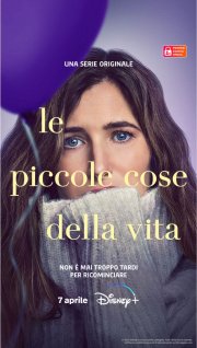 Locandina di Le piccole cose della vita