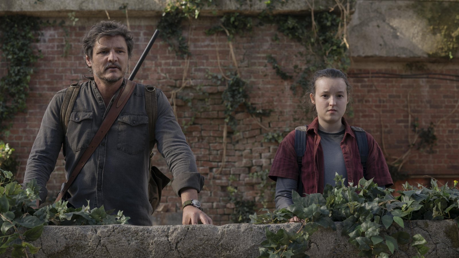 The Last of Us, Rainn Wilson accusa la serie di alimentare il 'sentimento anti-cristiano' di Hollywood