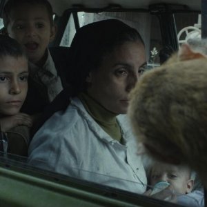 Il capofamiglia: Demyana Nassar in una scena